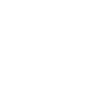 Irish Life
